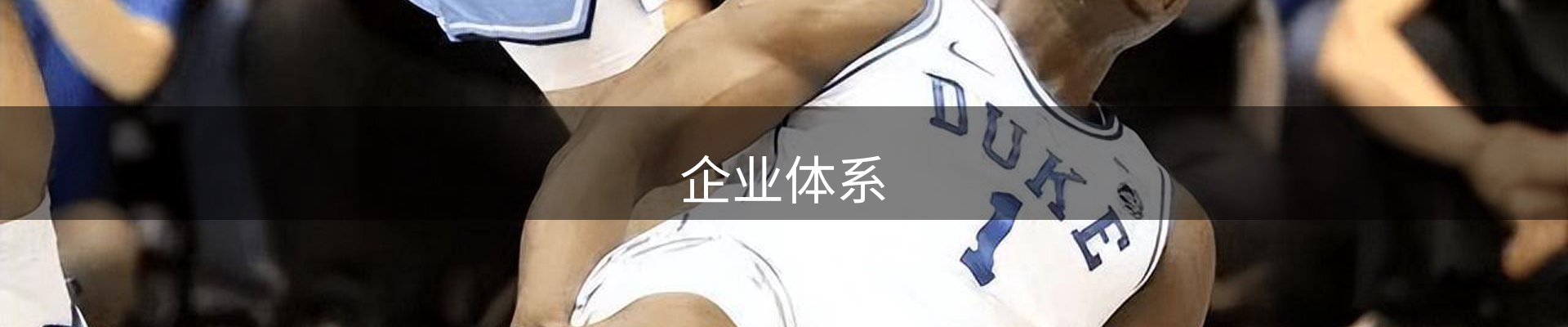 企业体系